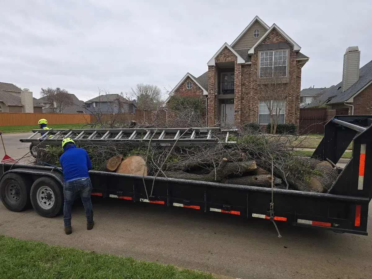 Expert Tree Fertilization with proper safety equipment in Uniontown